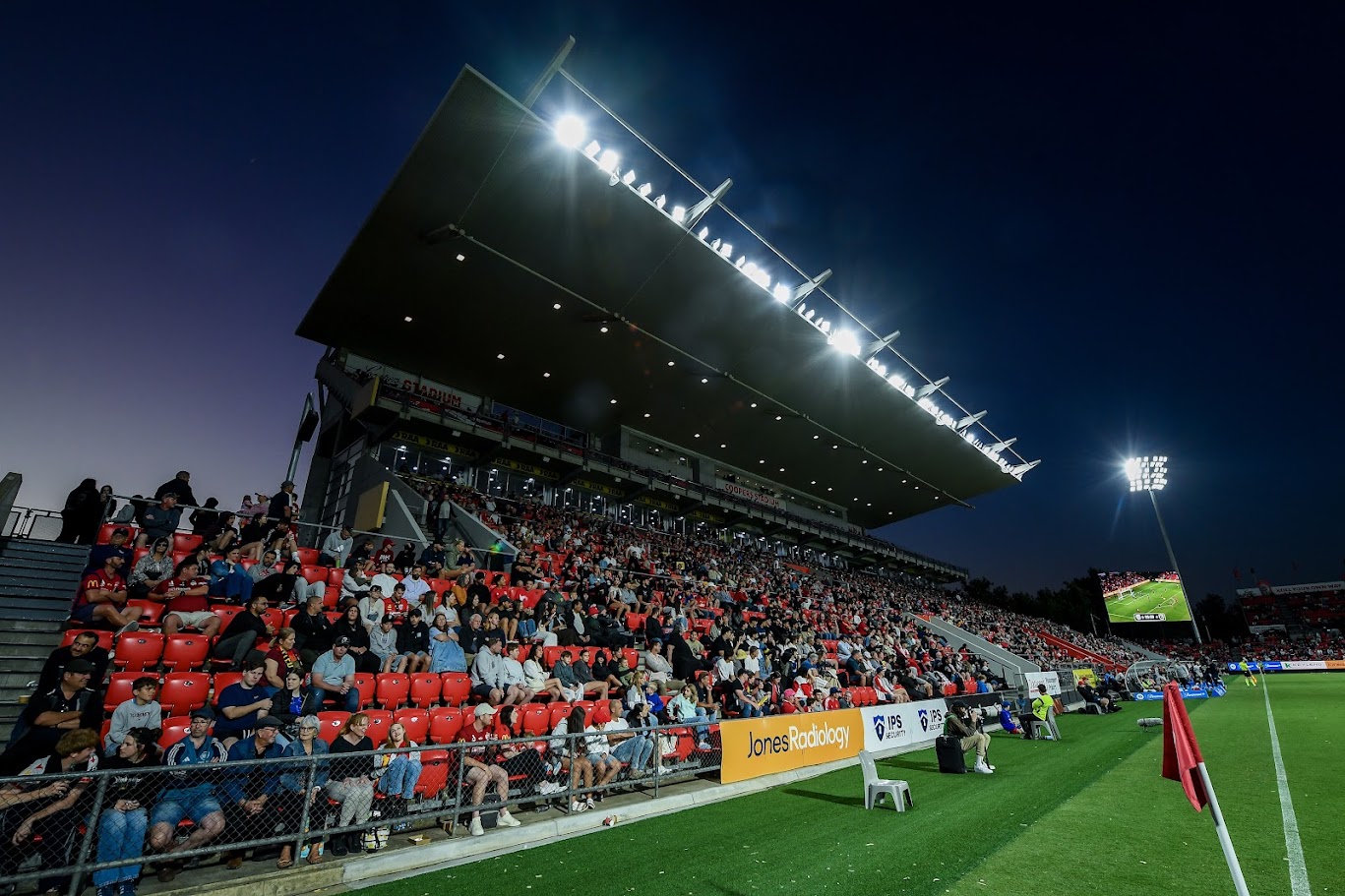Supporters in the main grandstand at Coopers Stadium under the floodlights